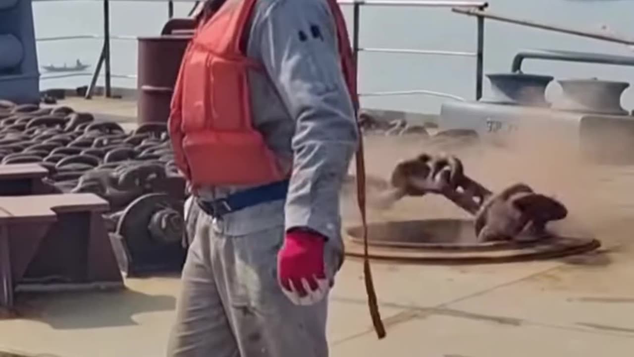 Cargo Ship Drops Anchor | Oddly Satisfying