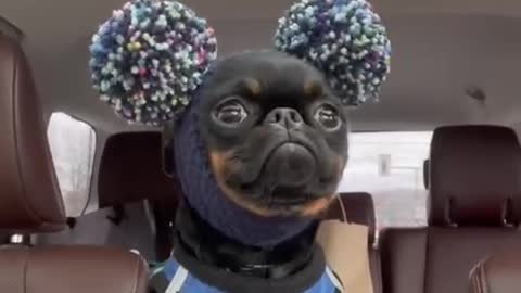 Cuteness overload