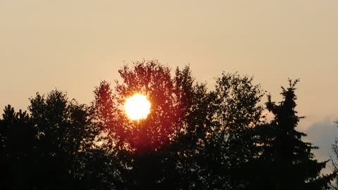 beautiful sun rising