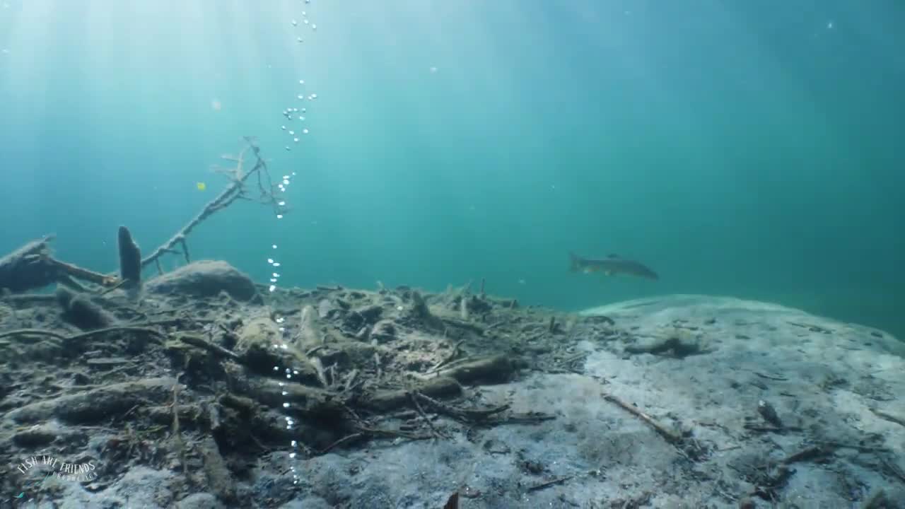 Tauchen Flusstauchen River diving Maggia Tauchschule Luzern Schweiz