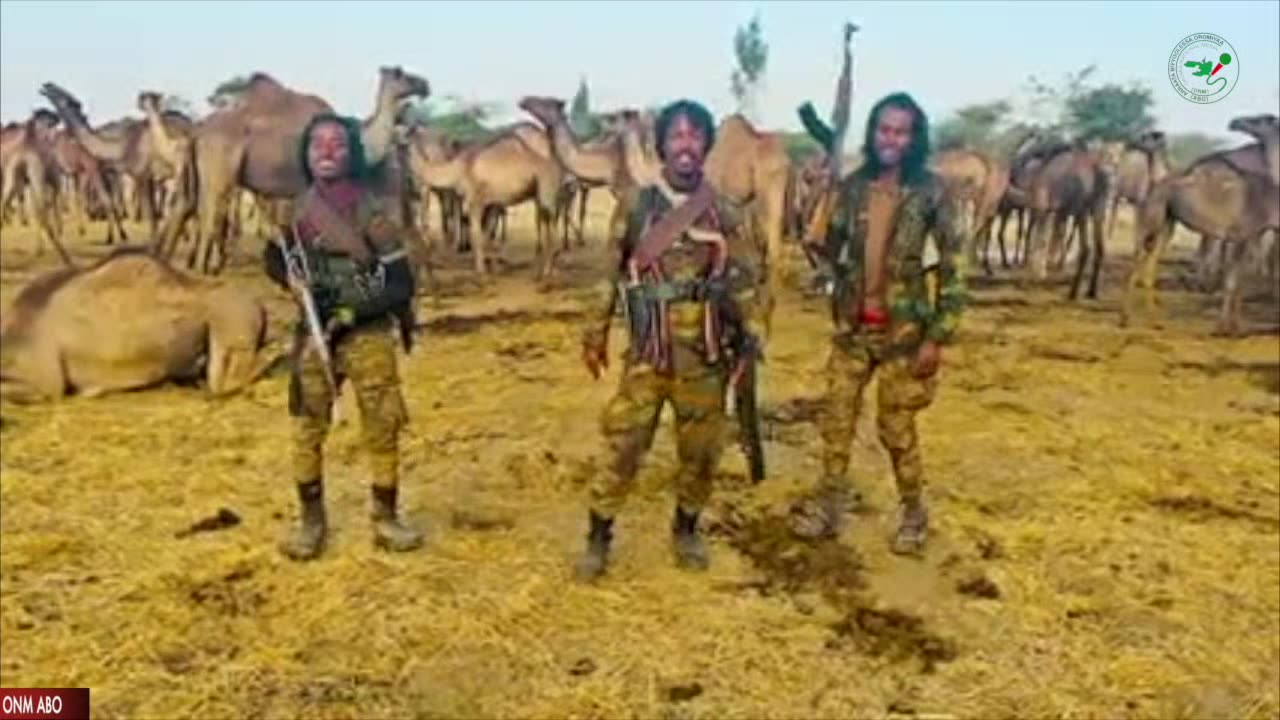 Oduu Galgala ONM-ABO Waxabajjii 17-2024 itti dhiyaadhaa!