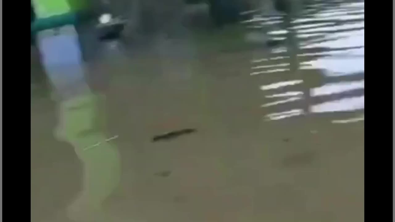 URGENT: Jalur Pantura, Indonesia!