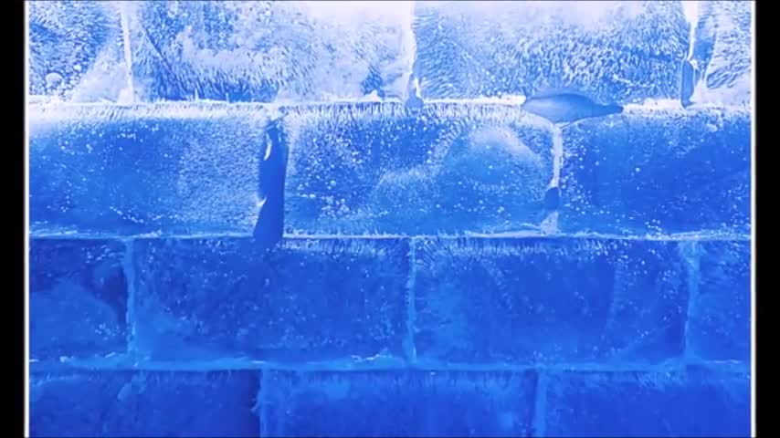 FLAT EARTH CLUES 5-10