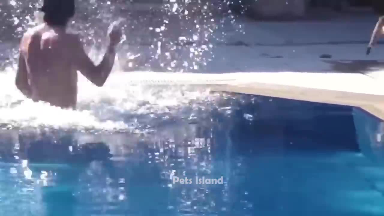🔥Most Trending Animal Videos - Funniest Cats and Dogs 2023 😺🐶