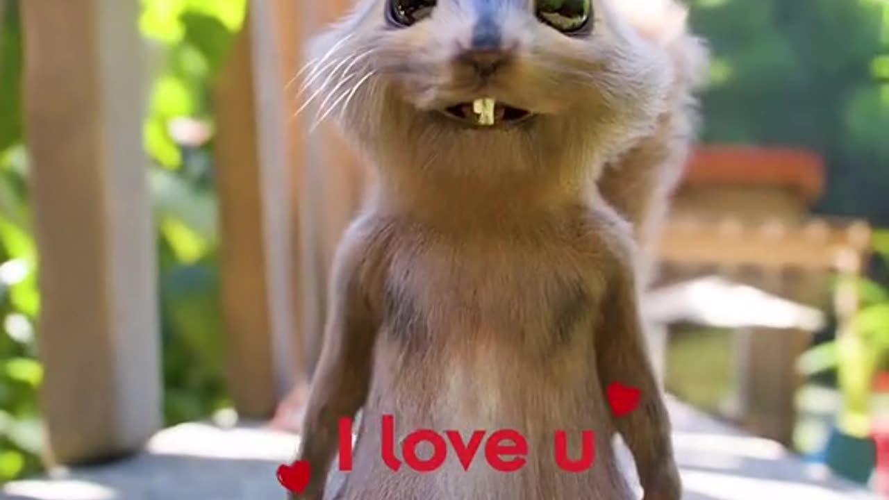 funny