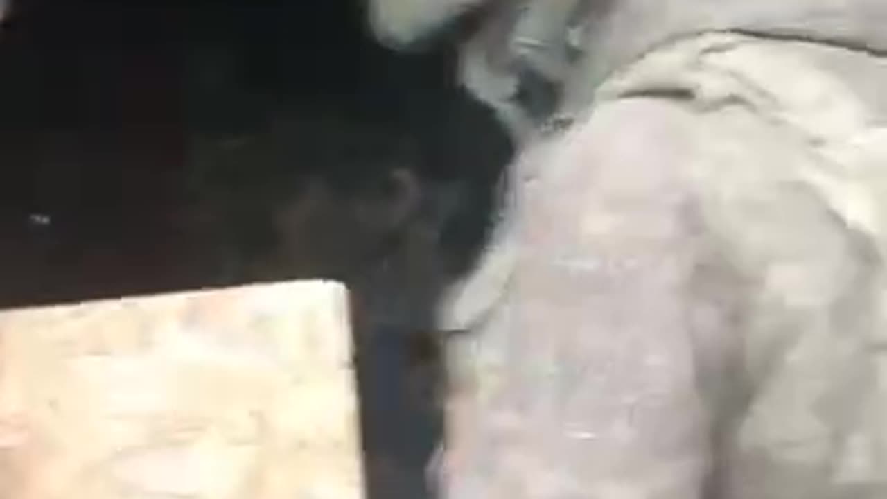 Footage of Ukrainian soldiers being captured by Russian fighters.