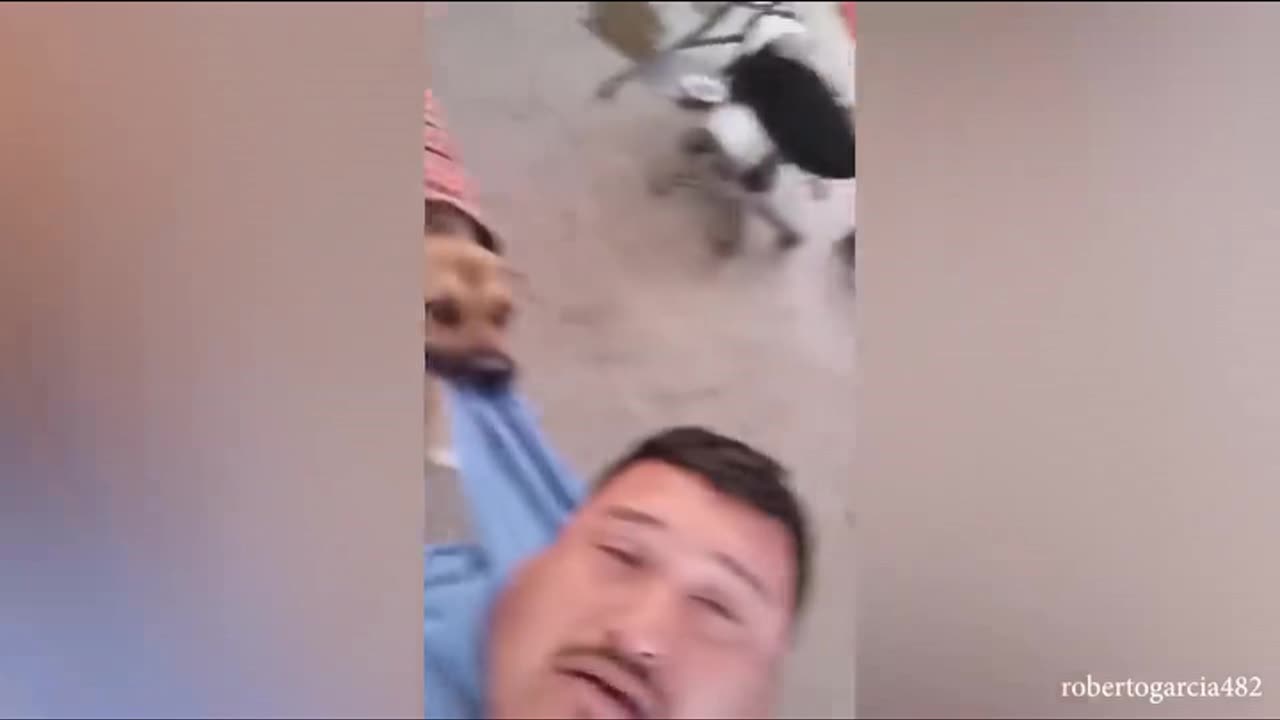 Who says having a dog is easy?