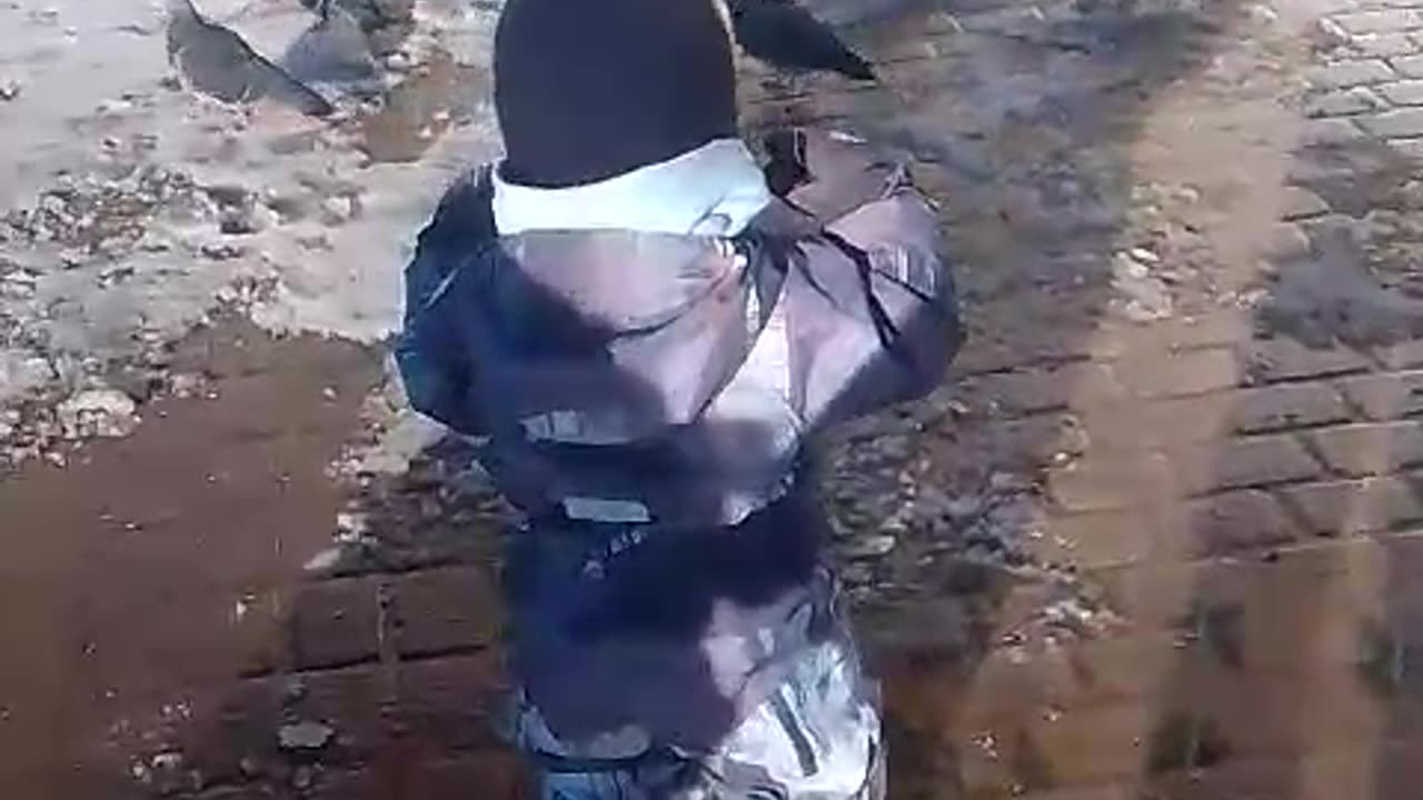 Сын гуляет впервые увидел голубя