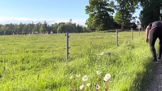 Girl Folds Over Wired Fence Trying to Jump Over it