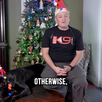 Should You Give a Puppy as a Present?