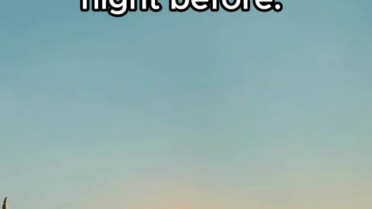 Manage Your time Duly