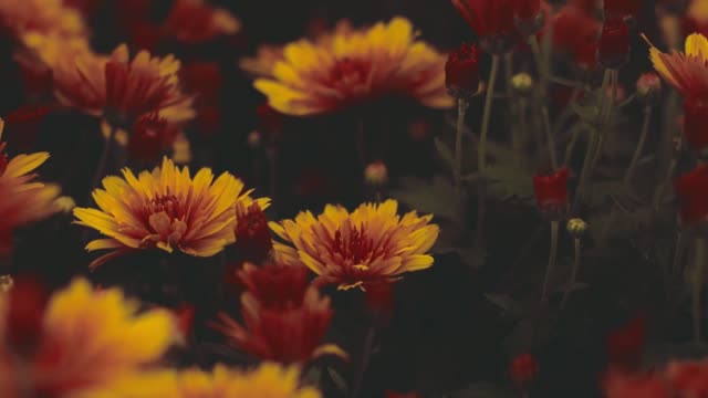 Goodbye Crappy Day MEDITATION