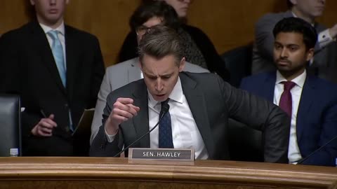 BRUTAL: Sen. Hawley DECIMATES Airline Execs Over Upcharging Fees & Harassing Passengers!!