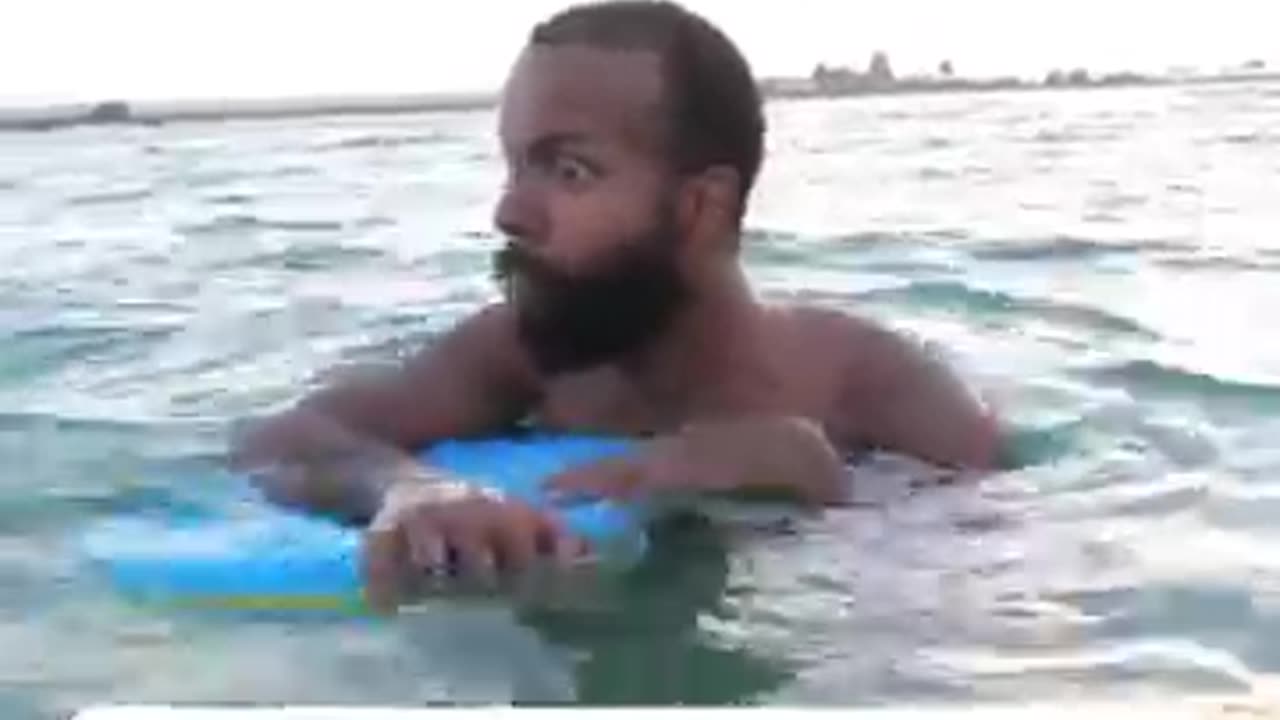 is about fish