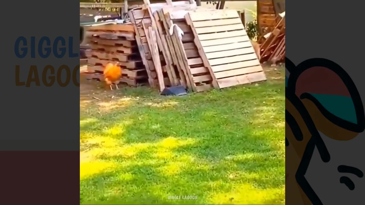 Funny Animal Fails 😁Funniest Cats And Dogs Videos | Best Funny Animal Videos Pt 1