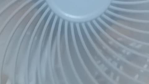 a three-stage electric fan