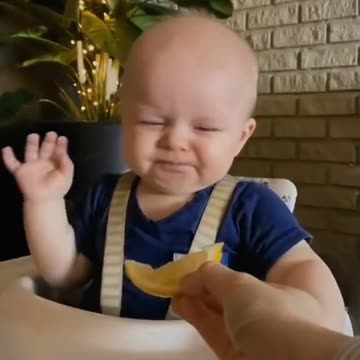 Baby tastes Lemon for the first time 🍋🍋😂😂🤣🍋🍋
