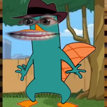 Perry the "Egg Laying" Platypus