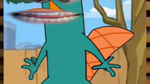 Perry the "Egg Laying" Platypus