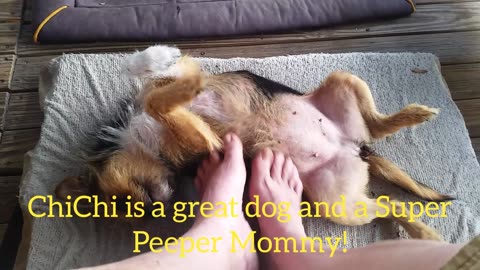 Oh... the Belly Rubs
