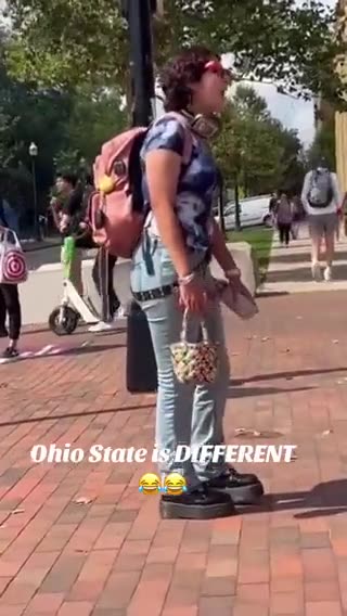 What kind of dog is this?