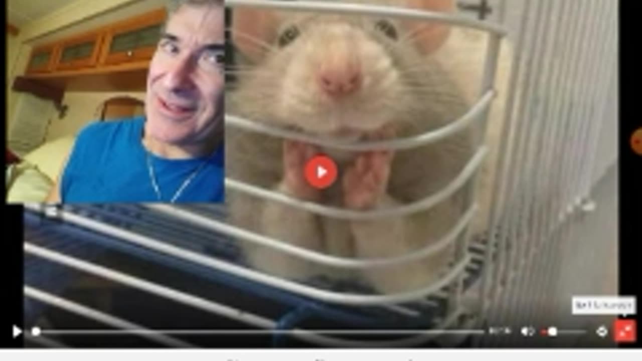 5G 'KILL-SWITCH' FOR VACCINATED PEOPLE – HOW THEY DIE SUDDENLY – DR. RIMA LAIBOW