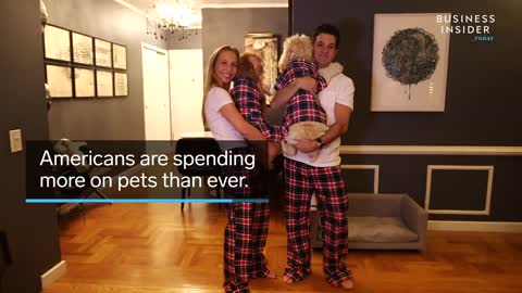 Why Americans Spend So Much Money On Pets