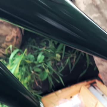 Ukrainians Firing Recoilless Gun