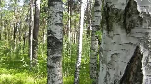 Relaxing Music | Sleeping, Meditation, Stress Relief | [6191] ⭐️