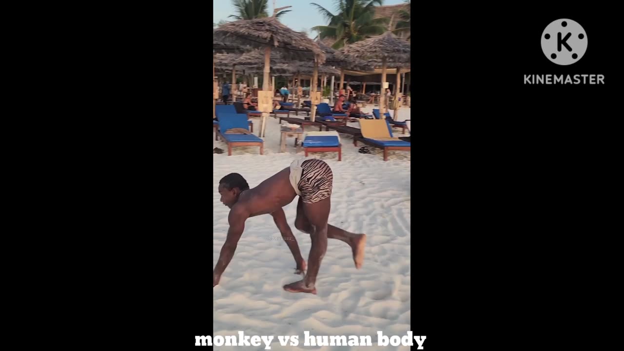 Monkey ♂️ man