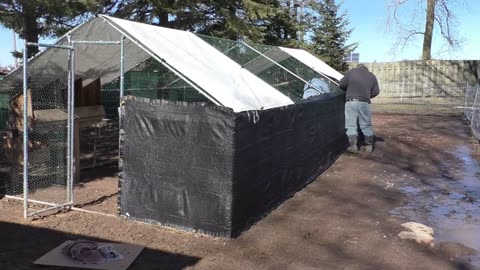 Getting Ready for Spring Chickens: Turning the Front Chicken Run into a Sheltered Coop