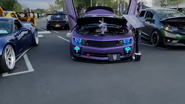 Car show 2019