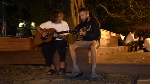 Manly At Night