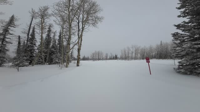 first out to the magic bus