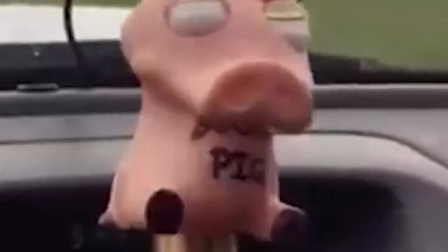 Turbocharging pig