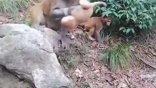 Oh My GOD, What Happened? Mother always protect their children.