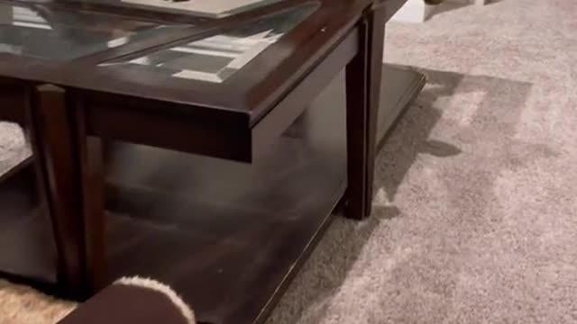 Nothing to see here, keep moving on lol