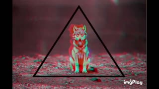 The Power Within☯️