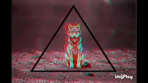 The Power Within☯️