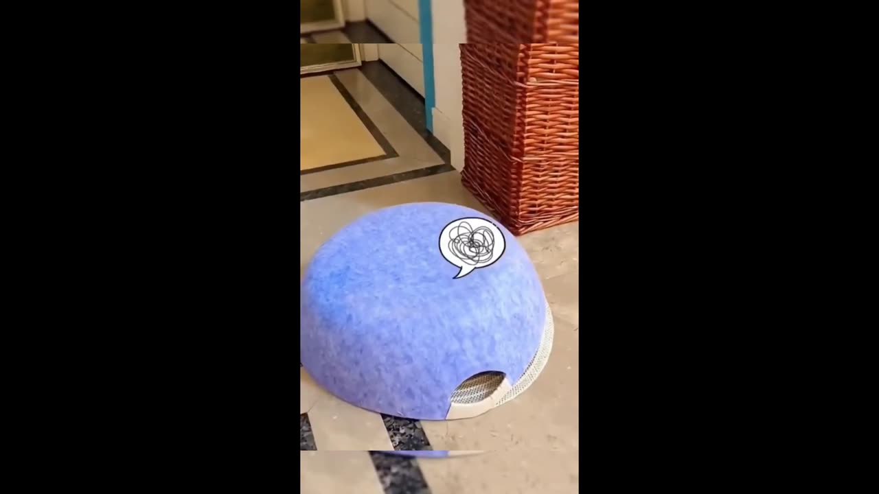 Funny Animals of 2023😀Funny Dogs and Cats. - Part 2