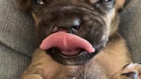 What happened to its mouth?