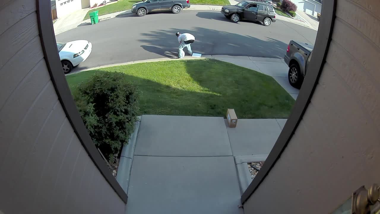 Clumsy Alleged Porch Pirates Fumble Down Porch