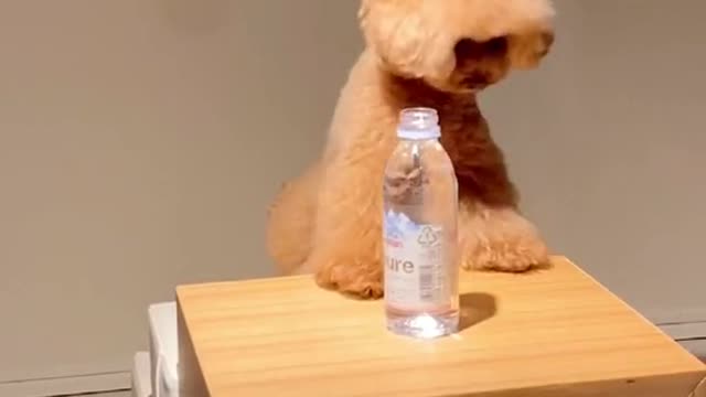 Learned new skills to open bottle caps