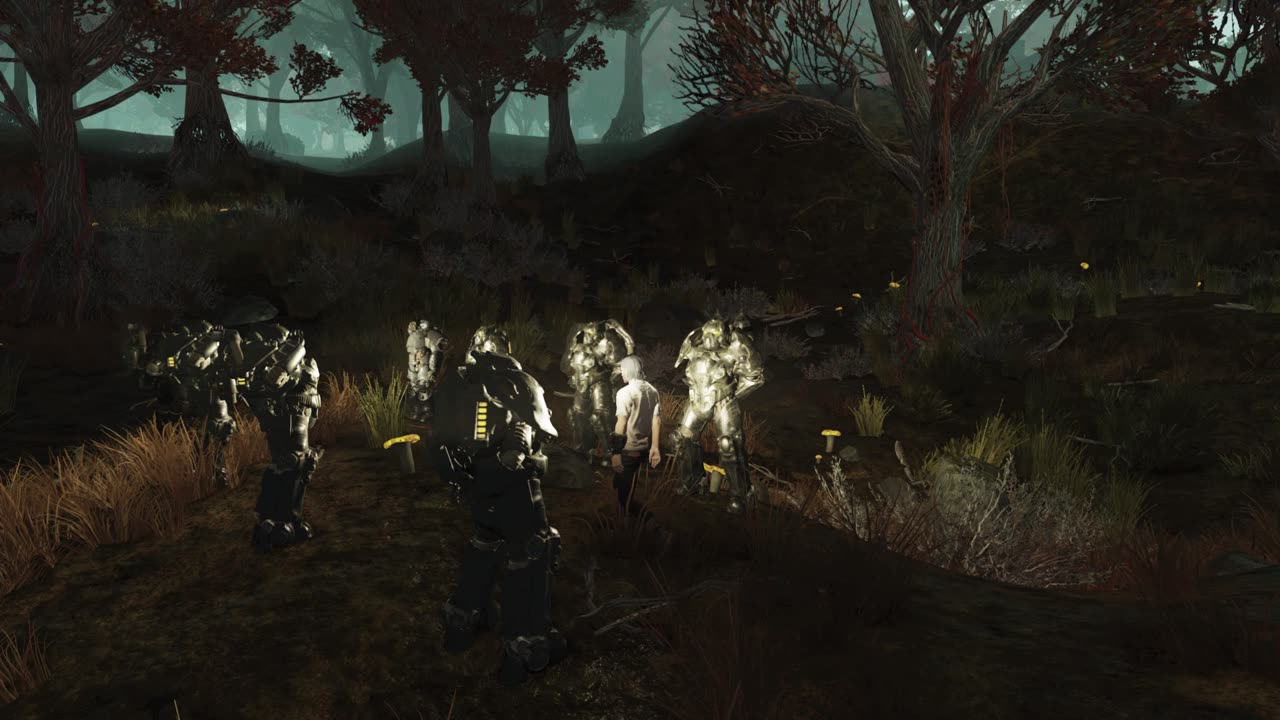 Member Recovery - Fallout 76 RP