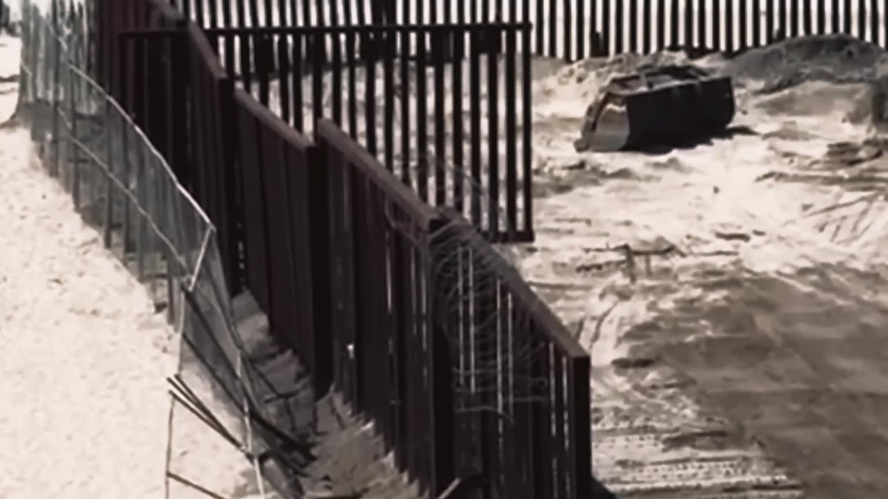 The immigrants your not hearing about!
