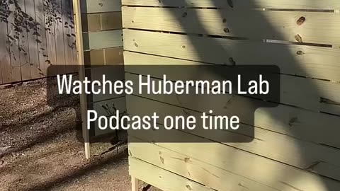 Watches Huberman lab Podcast one time