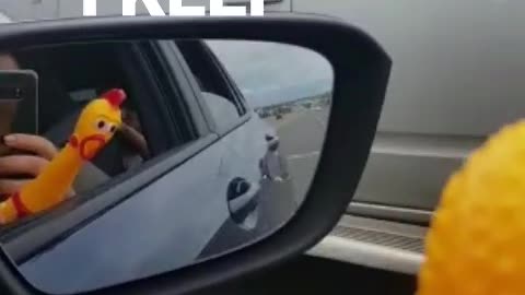 Apenas um passeio .