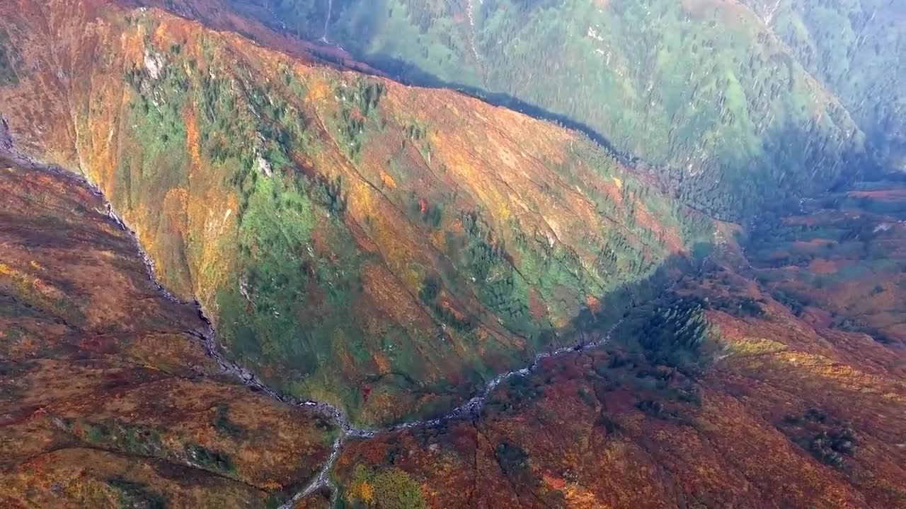 Enchanting Autumn Forests with Beautiful Piano Music