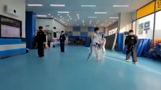 Hapkido