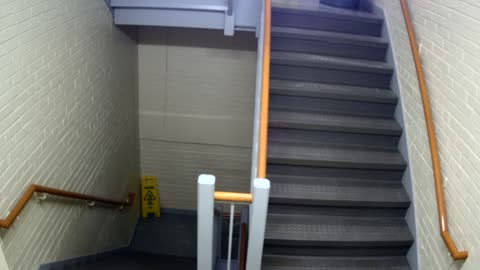 3892FHOB05Stair5_2021-01-05_21h17min24s330ms.mp4